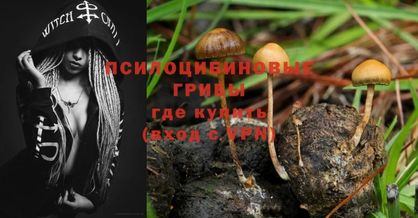 метамфетамин Белокуриха