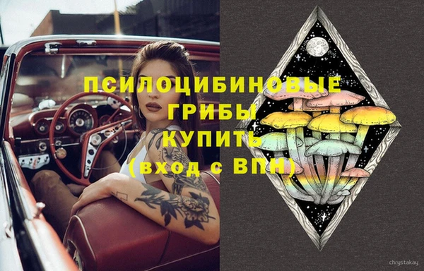 дурь Белоозёрский