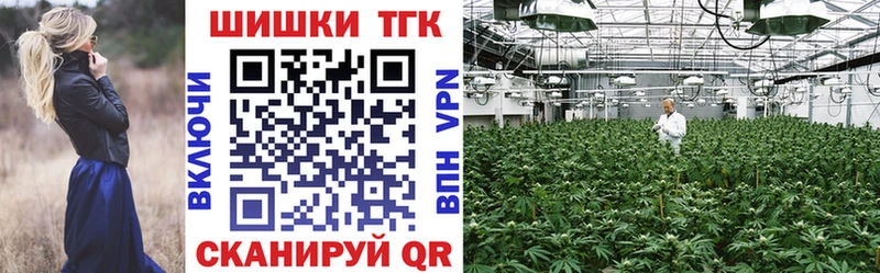kraken сайт  нарко площадка Telegram  Жердевка  Каннабис конопля  купить закладку 